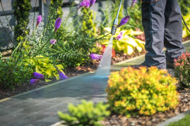 Best Driveway Pressure Washing  in Mountain Top, PA